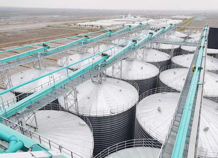 甘肅紅太陽面業(yè)集團(tuán)項(xiàng)目筒倉輸送設(shè)備